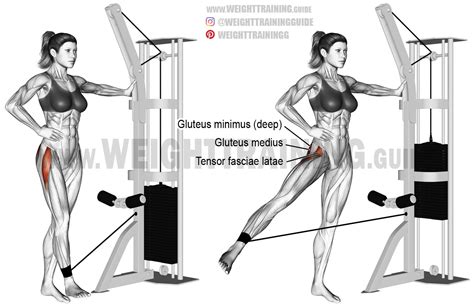 examples of abduction in sport|Hip Abduction Exercise Guide: Muscles Worked, How.